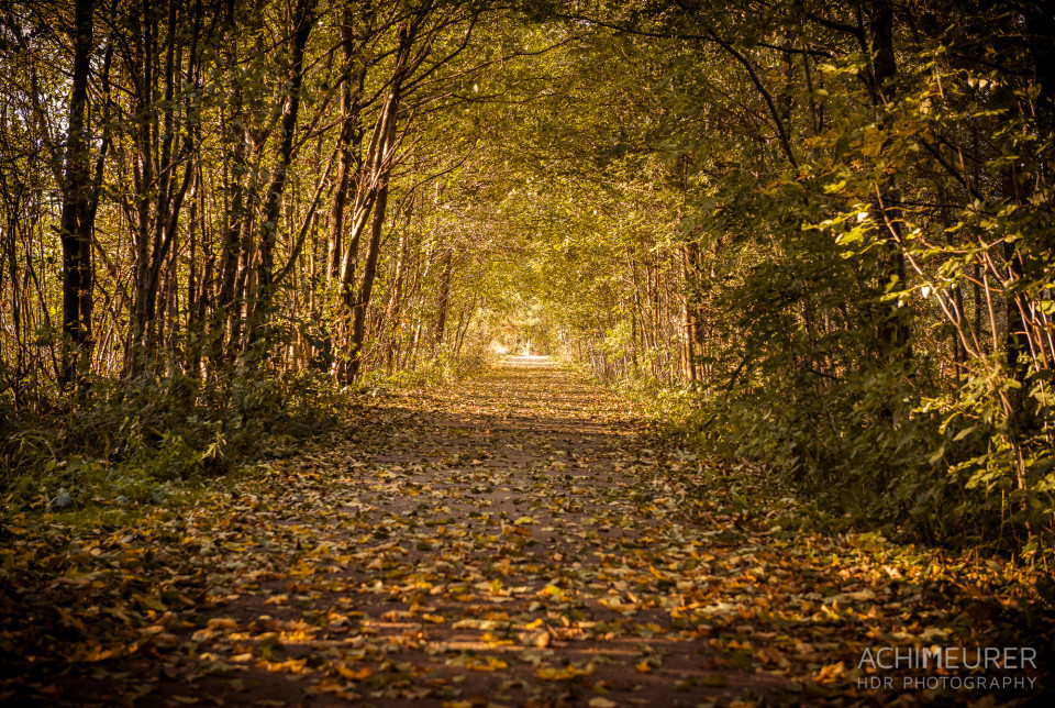 Herbststimmung in Großschönau