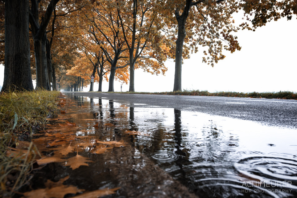 Herbststimmung an einem Regentag