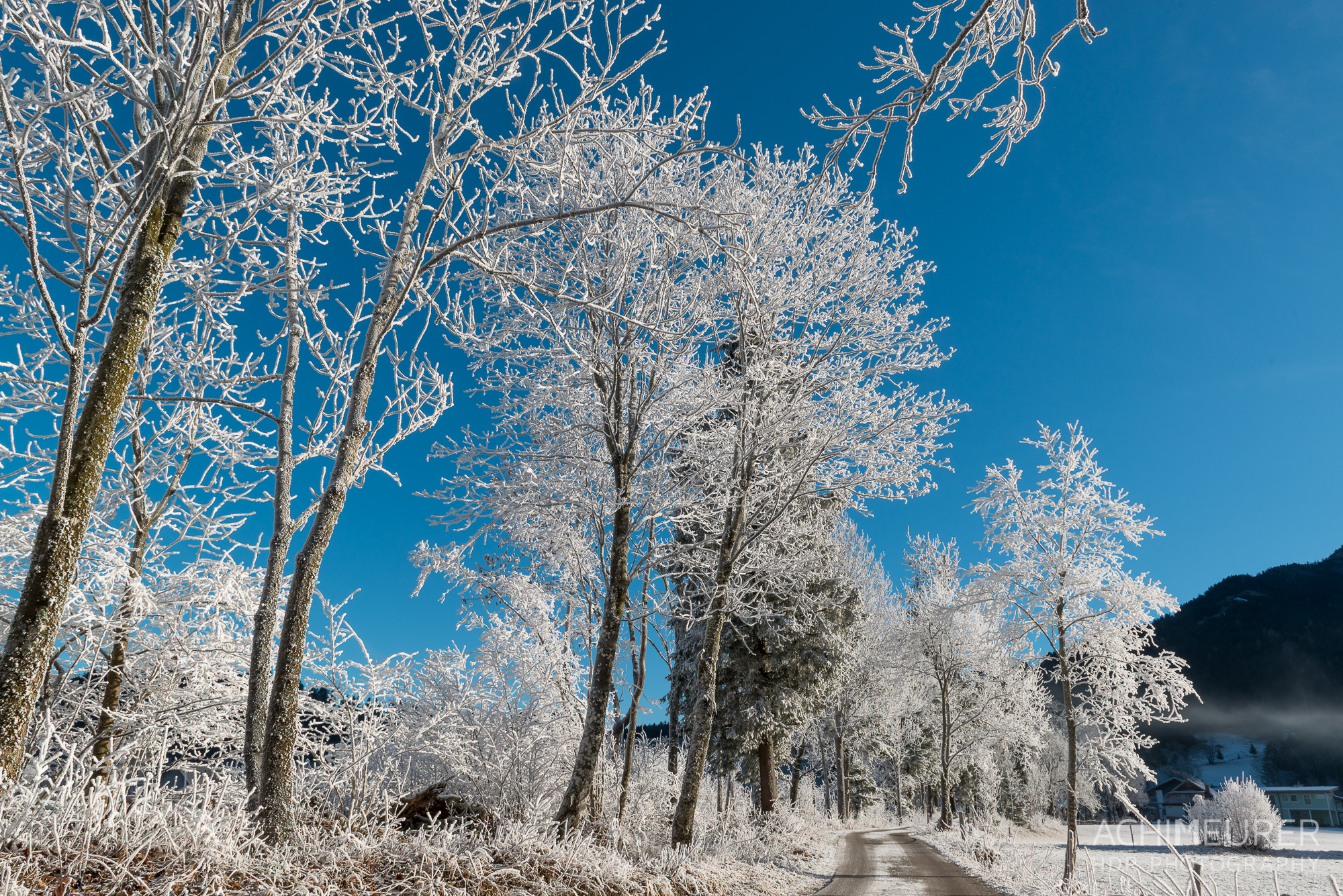 Winter-Wonder-Land Au in Abtenau