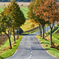 Baum-Alleen, Herbst-Landschaft #nhavo by AchimMeurer.com                     .