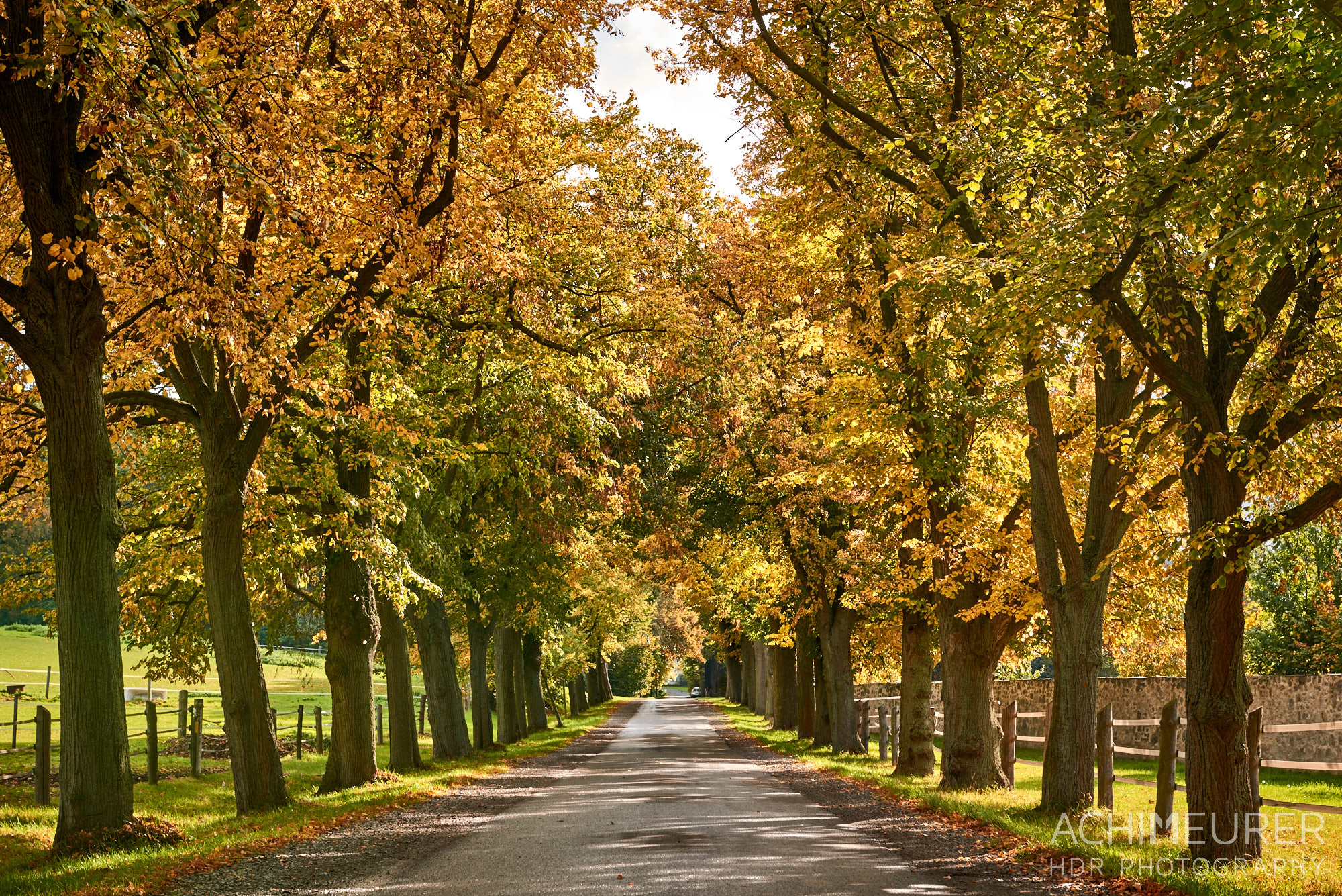 Baum-Alleen, Herbst-Landschaft #nhavo by AchimMeurer.com . 
