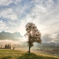 Tannheimertal-Herbst-Morgen-Stimmung-Nebel_4815 by AchimMeurer.com .