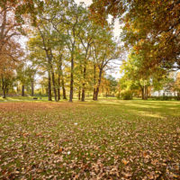 Parkanlagen im Herbst in Wolfenbüttel by AchimMeurer.com                     .