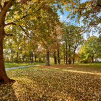 Parkanlagen im Herbst in Wolfenbüttel by AchimMeurer.com .