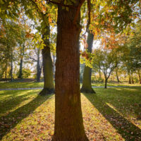 Parkanlagen im Herbst in Wolfenbüttel by AchimMeurer.com                     .