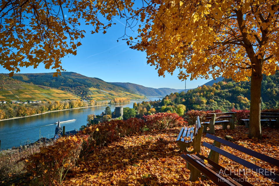 Der Rhein-Burgen-Wanderweg im Herbst by AchimMeurer.com                     . 