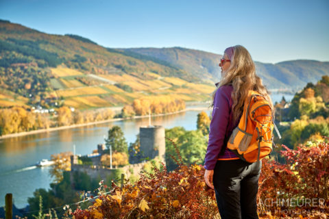 Der Rhein-Burgen-Wanderweg im Herbst by AchimMeurer.com                     .