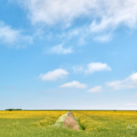 Sankt Peter-Ording an der Nordsee by AchimMeurer.com                     .